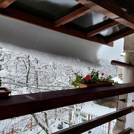Holiday House Valiug Văliug Exterior foto
