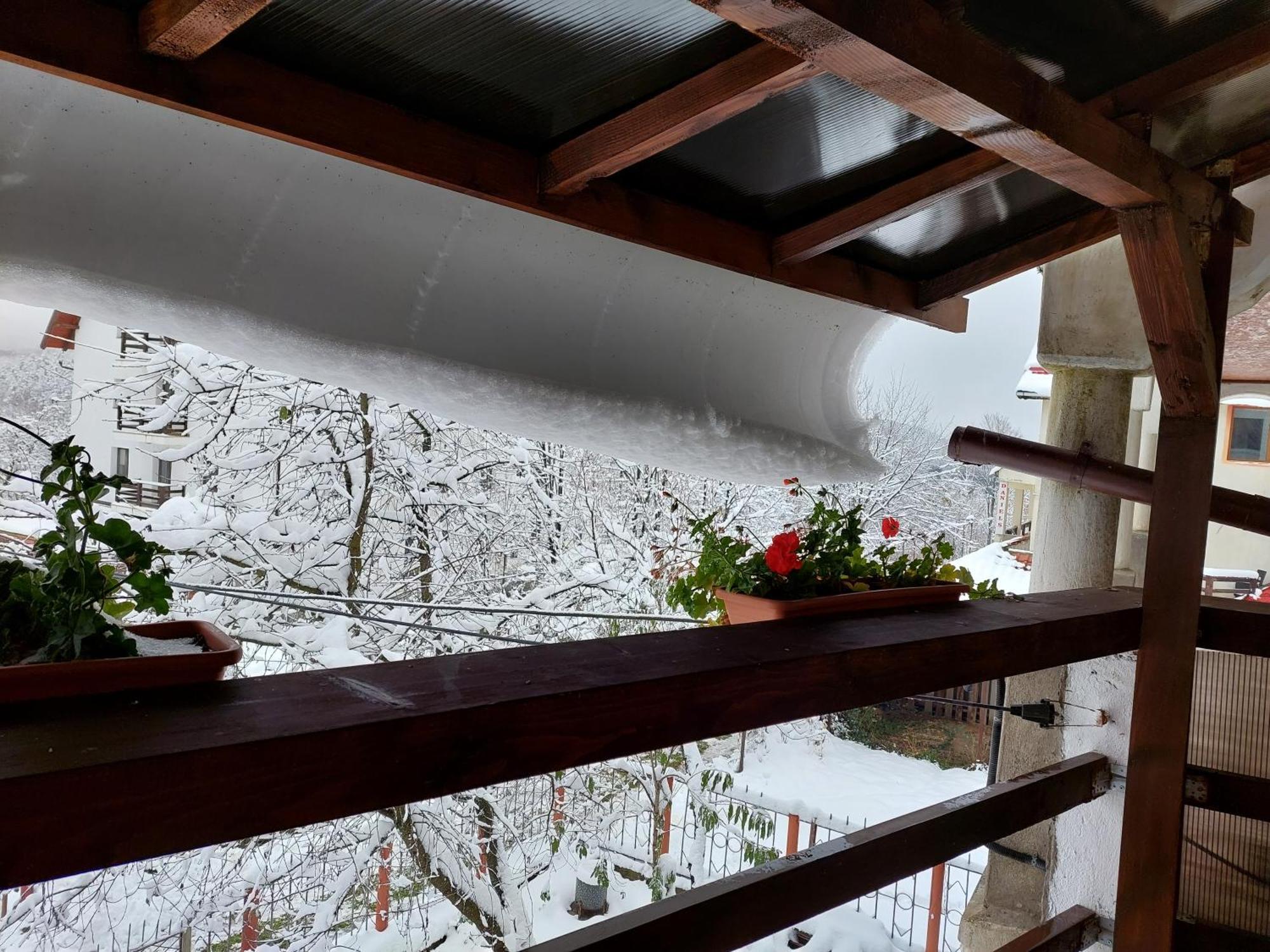 Holiday House Valiug Văliug Exterior foto